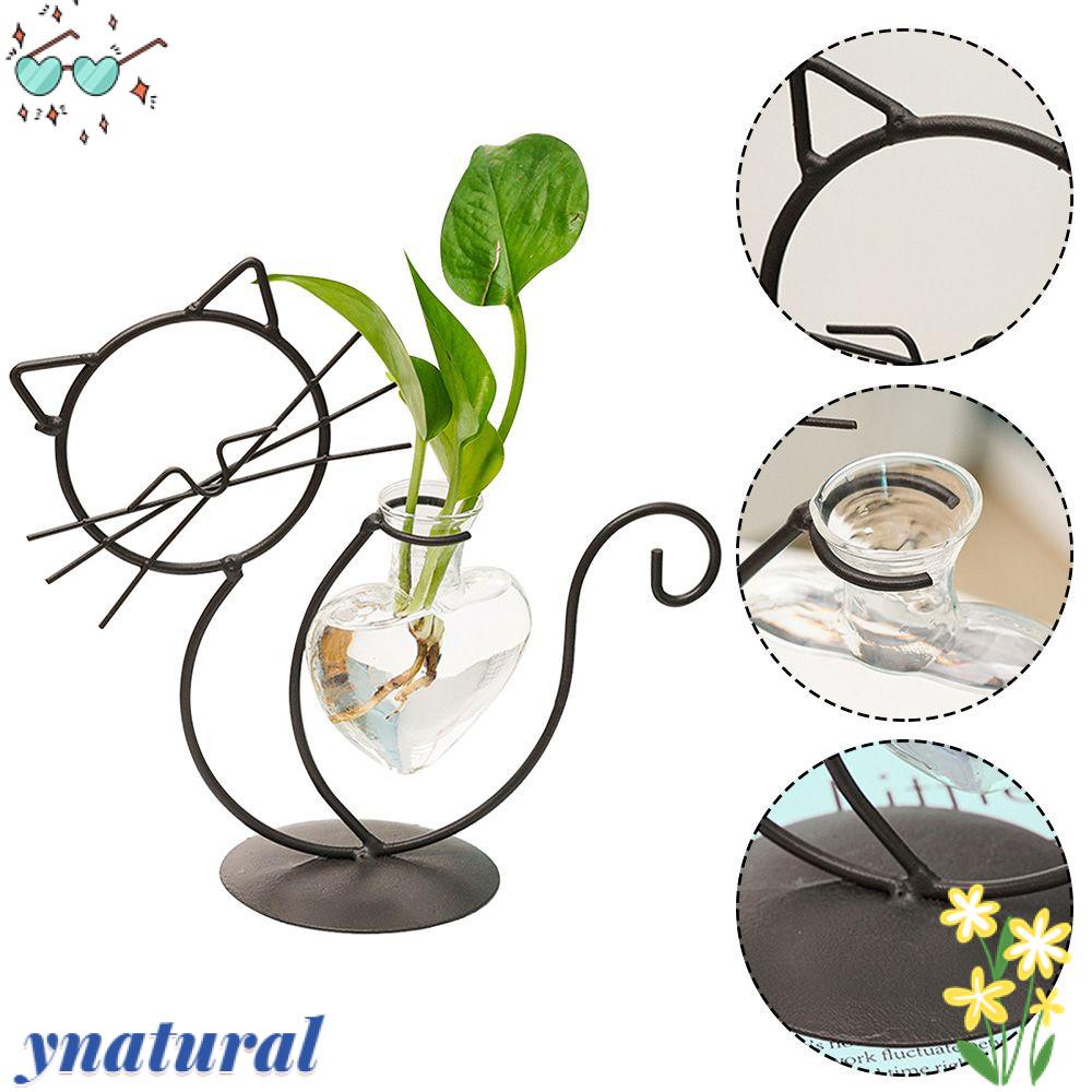 Chậu Trồng Cây Thủy Canh Hình Trái Tim Đơn Giản