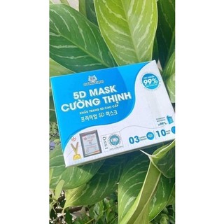 Khẩu Trang 5D Cường Thịnh