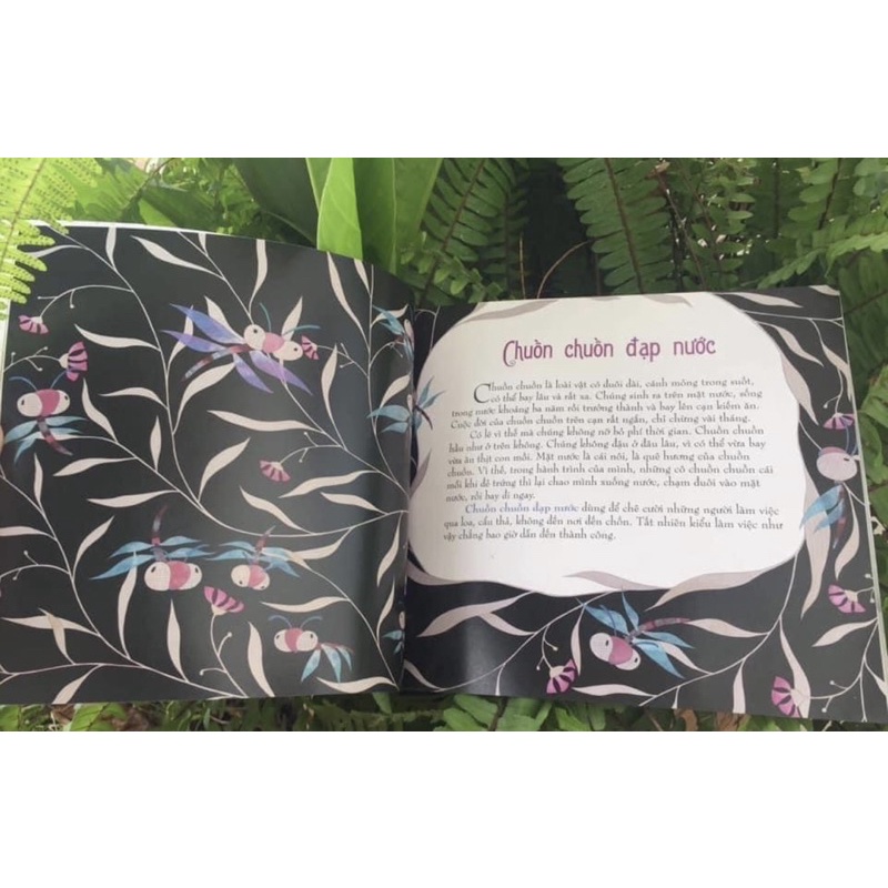 Sách - Chuyện kể thành ngữ