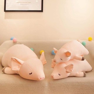 THÚ NHỒI BÔNG HEO LƯỜI (50CM)
