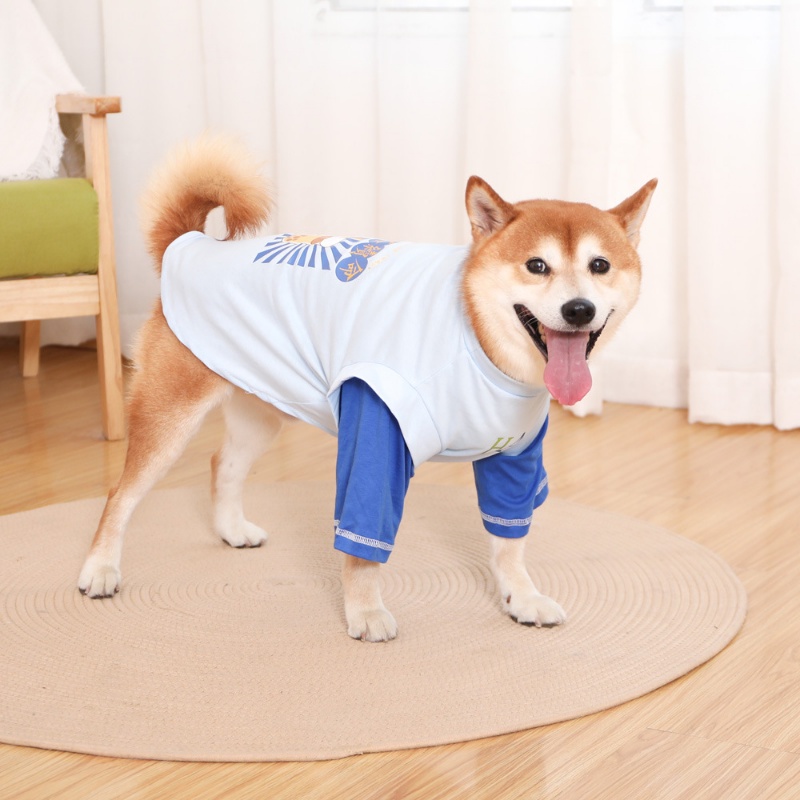 Bộ ÁO Thun NgắN Tay + Yên HậU Cho Thú Cưng - Size 2XL-9XL