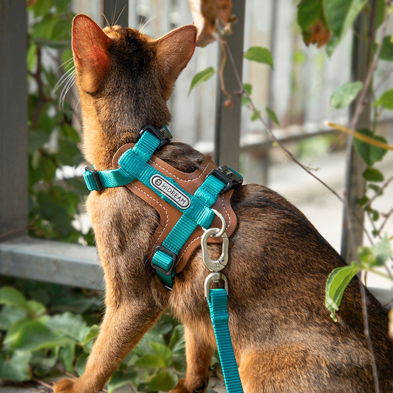 HamshMoc Dây Đai Dắt Mèo Cưng Phản Quang Tùy Chỉnh Chống Thoát Thoát Nhẹ Mềm Mại Thoải Mái Dễ Điều Khiển