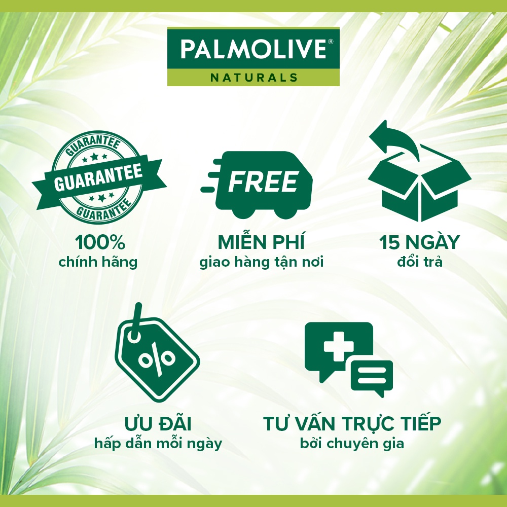 Sữa tắm Palmolive sảng khoái dịu êm chiết xuất từ phong lan 500g + Dầu gội Palmolive 180ml