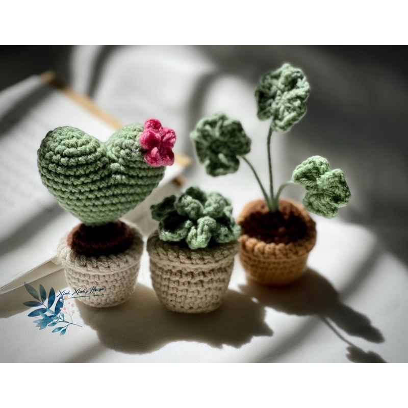 Hoa len cỏ 4 lá để bàn xinh xắn (100%handmade)