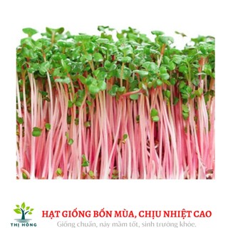 Hạt giống mầm rau cải (dễ trồng, nhanh thu hoạch)