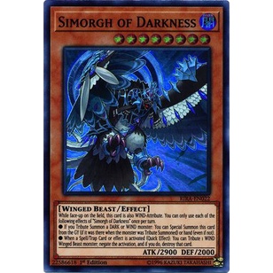 Thẻ bài Yugioh - TCG - Simorgh of Darkness / RIRA-EN022