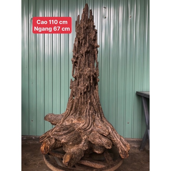 Trầm hương cảnh QUẢNG Nam chưng phong thuỷ , mang tài lộc cho gia chủ