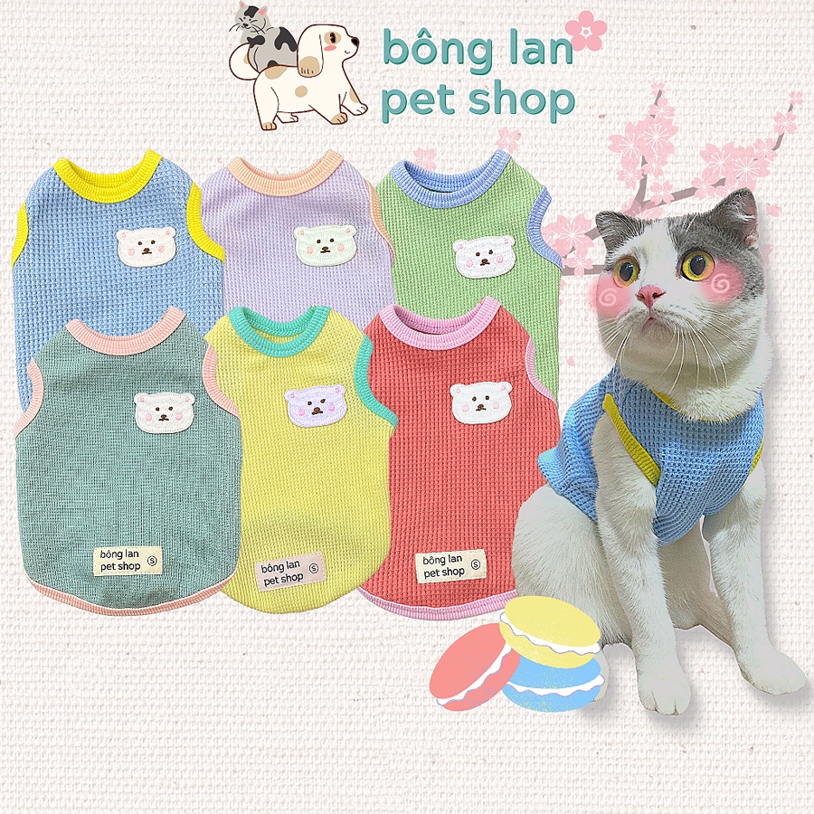 Áo thun thú cưng chó mèo màu sắc ngọt ngào đính hình gấu trắng