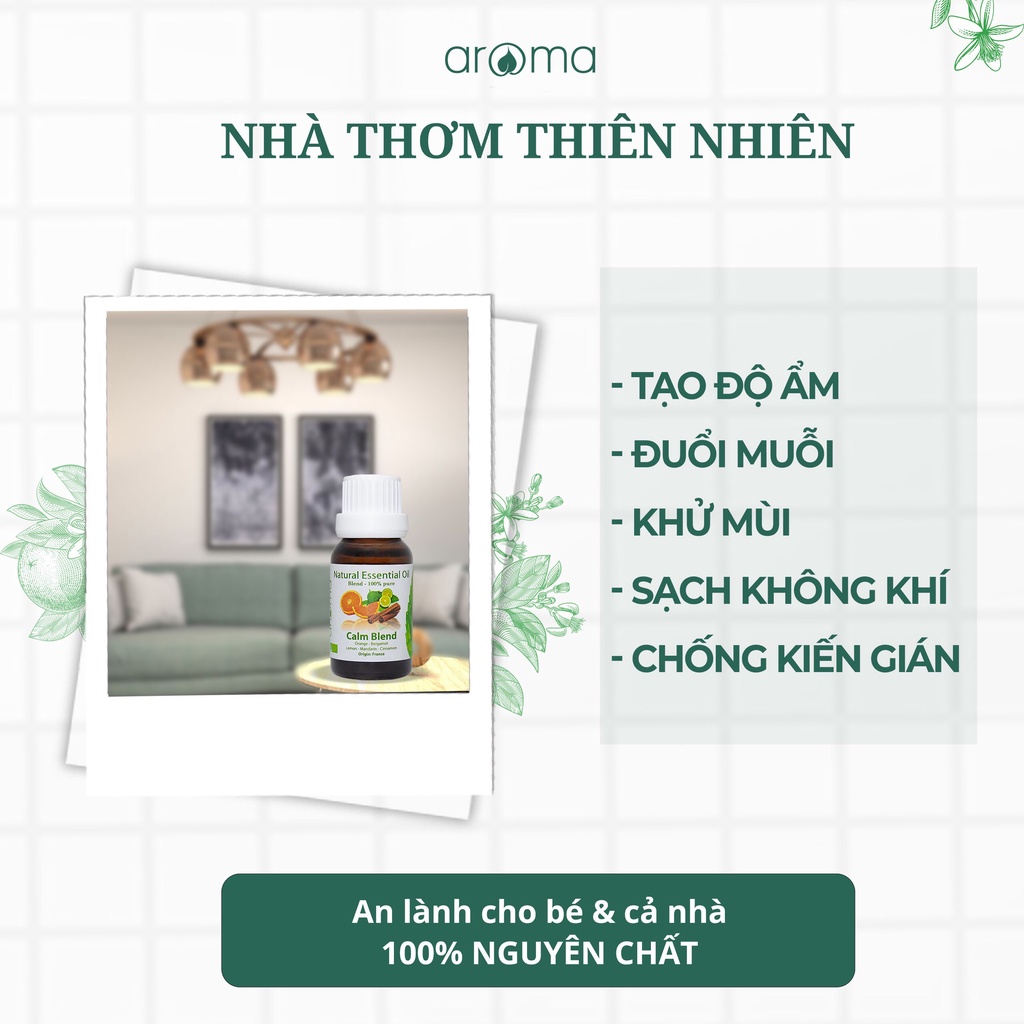 Aroma Que xốp hấp thụ nước với nhiều kích thước tuỳ chọn tiện dụng cho máy khuếch tán độ ẩm