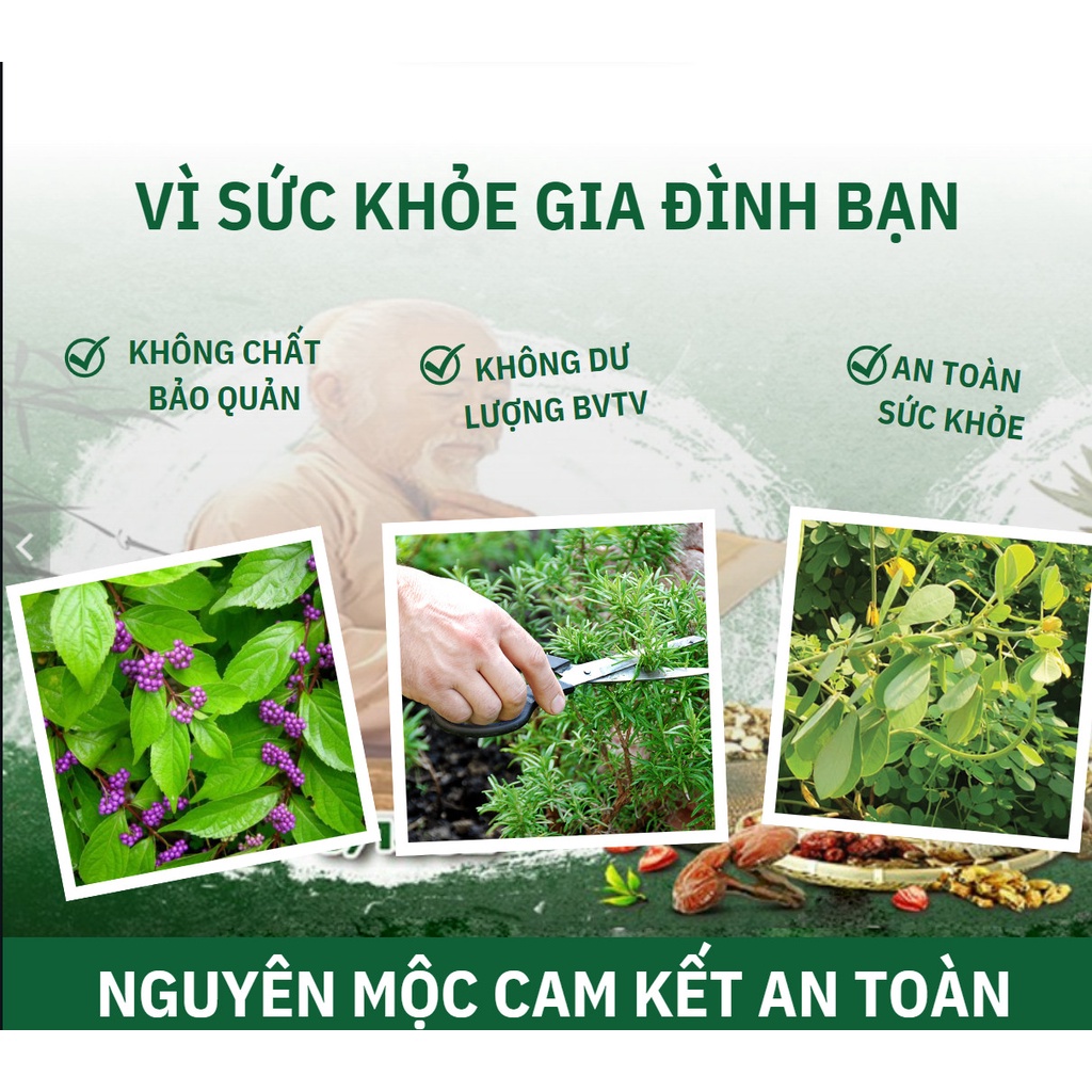 Trà hỗ trợ viêm đường tiết niệu thảo dược túi lọc Nguyên Mộc ngừa tiểu đêm tiểu rát mát gan bổ thận trong 7 ngày