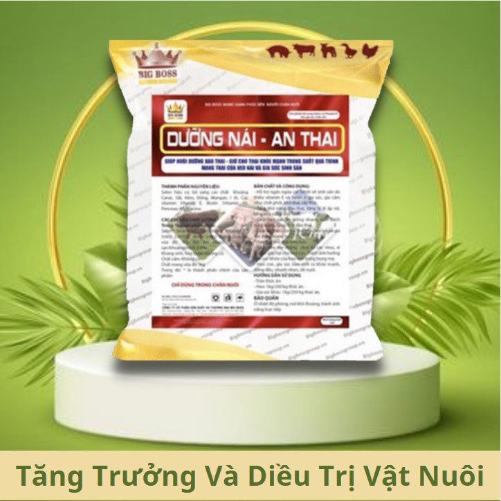 Dưỡng Nái,An Thai, Nuôi Dưỡng Bào Thai, Giữ Cho Thai Khỏe Mạnh Trong Quá Trình Mang Thai
