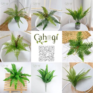 Cây Giả Cây Nhựa Trang Trí - Dương Xỉ Toà Sen - Dương Xỉ Khổng Tước- Dương Xỉ Cổ Đại