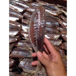 CÁ NỤC 1 NẮNG 1kg -SHIP HOẢ TỐC