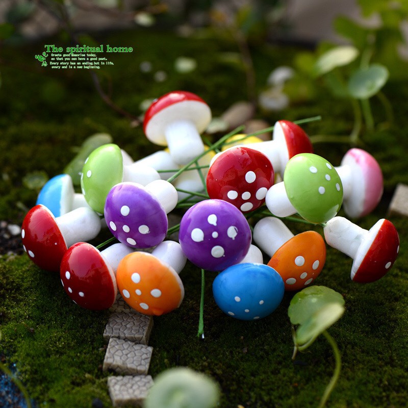Tiểu cảnh, nấm xốp mini❤️, terrarium, tiểu cảnh mini, trang trí tiểu cảnh, mô hình làm sen đá, làm handmade, decor