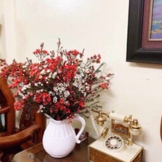 HOA THANH LIỄU (6-8 cành) |bó to đẹp