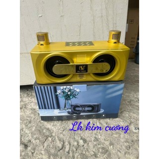 Loa karaoke mini ys-205