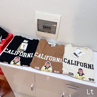 Set bộ gấu California