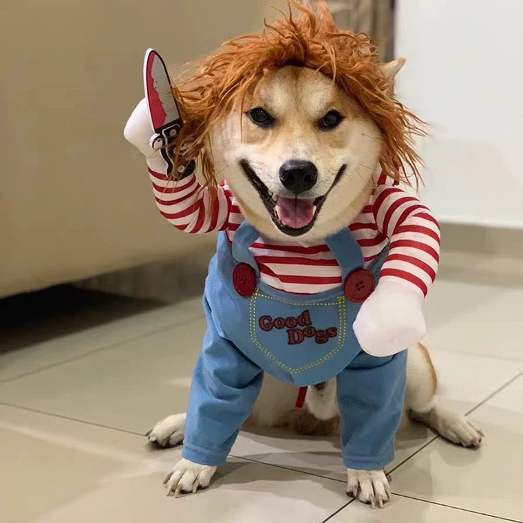 Elsabell. Búp Bê Ngộ Nghĩnh Chó Trang Phục Màu Sắc Tươi Sáng Mềm Mại Thoải Mái Hóa Cho Giáng Sinh Halloween M