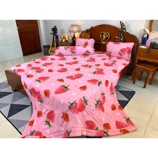 Trọn bộ mền thun hàn quốc 5 món