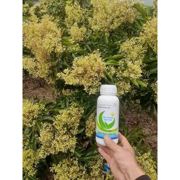 CHẾ PHẨM SINH HỌC SIÊU RA HOA HLC can 5l hàng chính hãng công ty