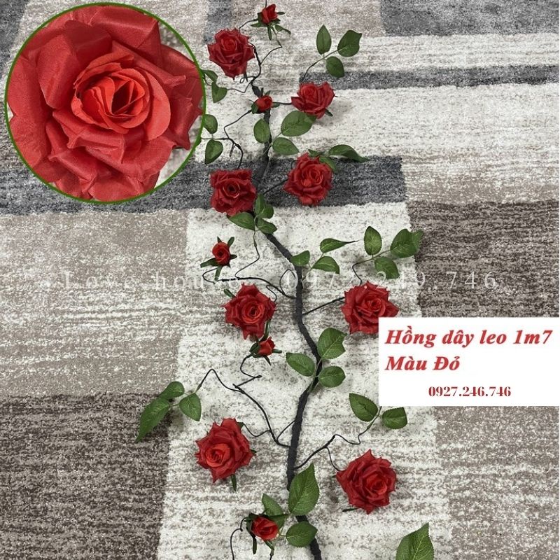 Dây Hồng leo Cổ Cao Cấp 1m7, Dây giả Trang Trí Tường Nhà, Studio, Cafe đẹp