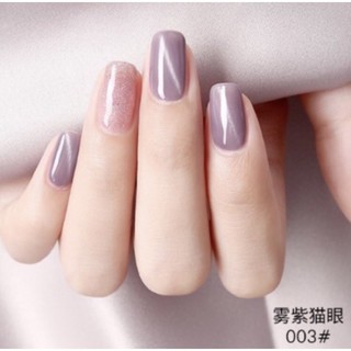 Sơn gel mắt mèo mã ZM
