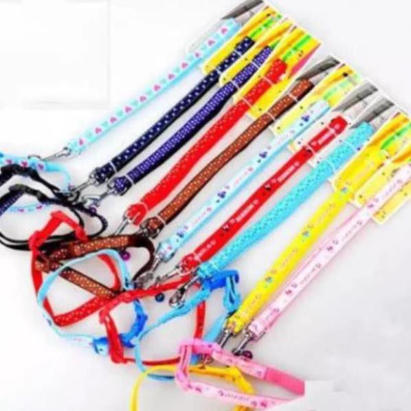 (4 size) Dây dắt cho chó mèo in hoa vòng cổ 2 lớp- dây dắt chó đã kèm vòng cổ