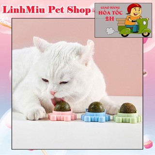 Cỏ mèo canip bạc hà dán tường cho mèo