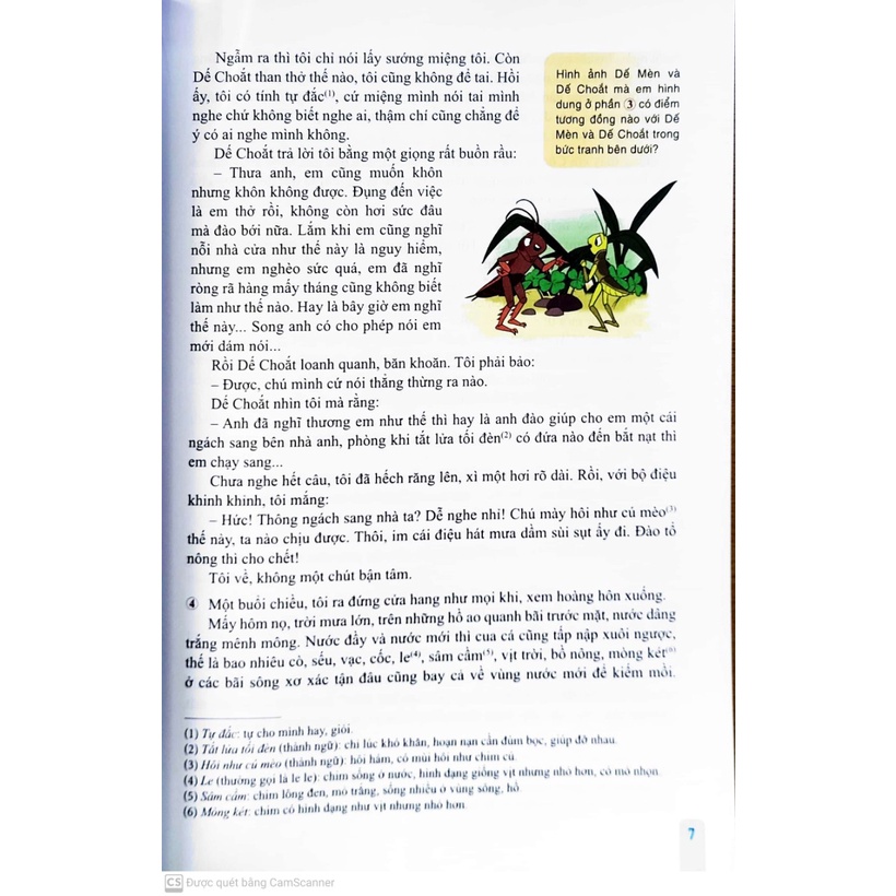 Sách -SGK Ngữ văn 6 - Cánh diều