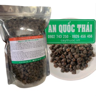 Chuối Hột Rừng Cô Đơn (Chuối Mồ Côi, Chuối Chân Voi) 1Kg Đặc Sản Ninh Thuận, Ngừa Sỏi Thận, Tiểu Đường