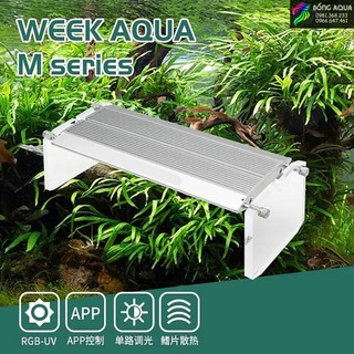 Đèn week raptor m series wrgb pro m-450pro/ m-600pro/ m-800pro/ m-900pro/ m-1200pro