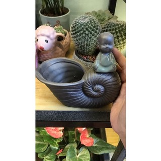 các mẫu chậu trồng cây