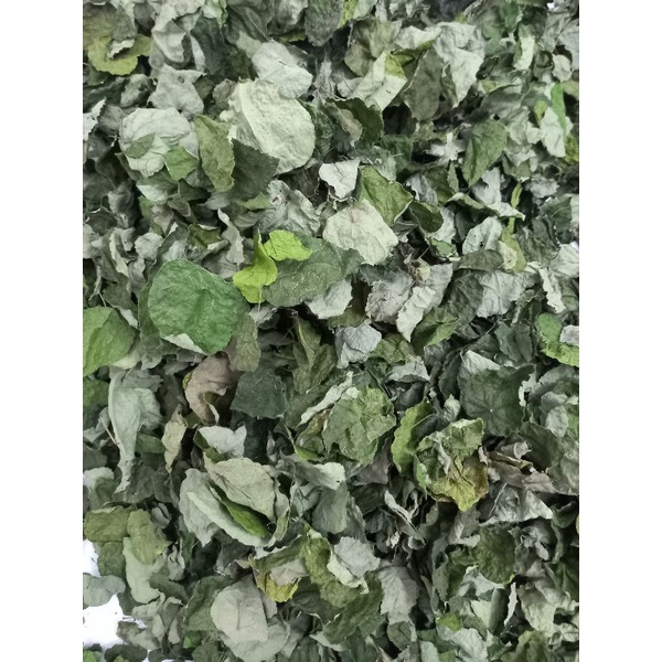 Lá sương sâm lông khô , 1kg , tặng nang mực, hút chân không