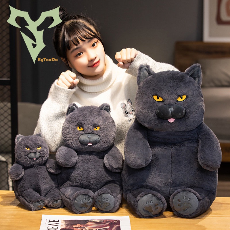 Thú Nhồi Bông Hình Chú Mèo Đen / Xanh / Chữ Tiếng Anh Trang Trí Nhà Cửa / Văn Phòng