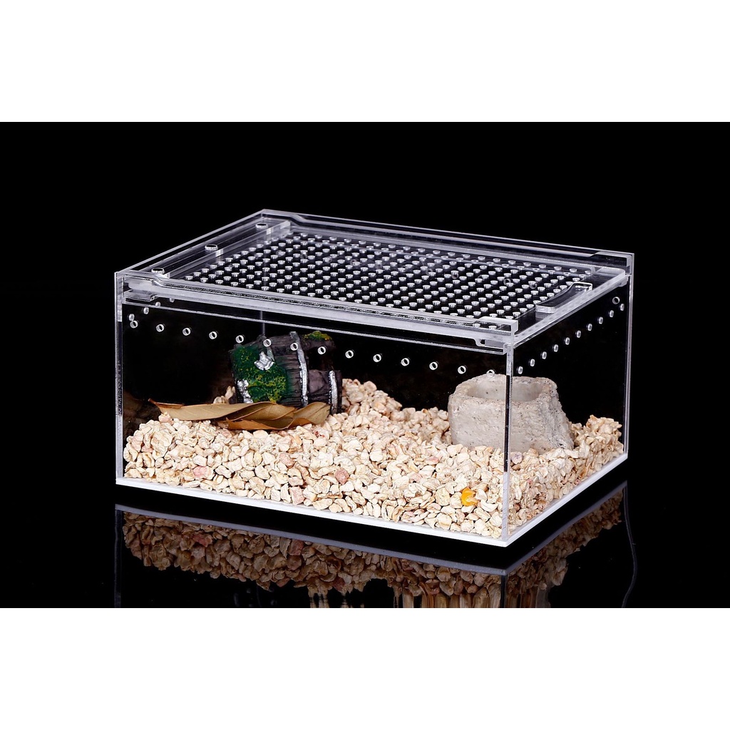 Hộp nuôi nhện/ bọ cạp/ rết kích thước 20x15x15cm...