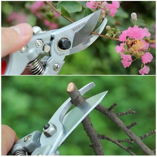 Kéo Nhật - Kéo cắt cành SADA 210