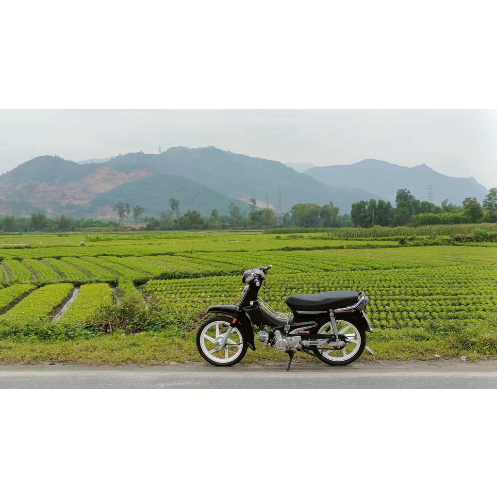 MÂM VÀNH ĐÚC 6 CÂY THẲNG SATRIA ĐÙM-PHANH CƠ DREAM WAVE LÊN ZIN THEO XE