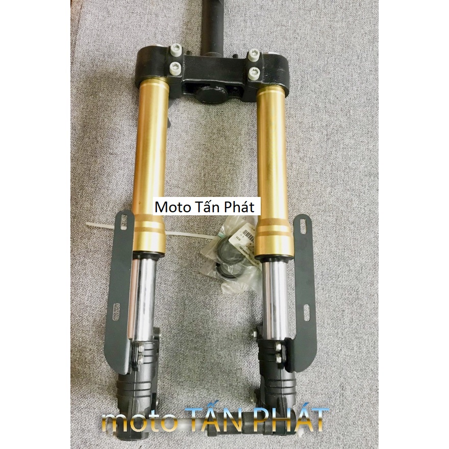 Giảm sóc trước hành trình ngược winner x hàng italya