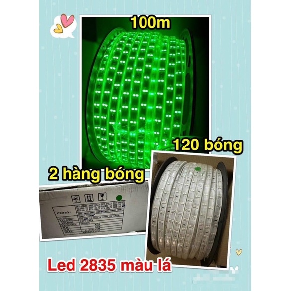 Dây Led 2 hàng bóng 2835 1 màu 1 cuộn 100m dán hắt trần thạch cao, trang trí cây.. ánh sáng vàng nắng, xanh lá…
