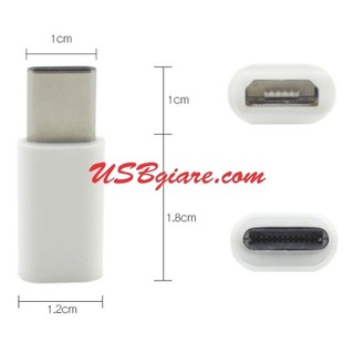 ĐẦU CHUYỂN CỔNG SẠC USB TYPE C (USB-C) SANG MICRO USB