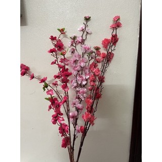 hoa a đào rẻ thanh lý