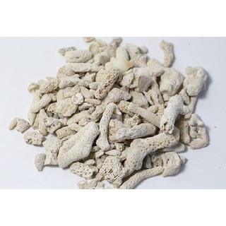 San hô vụn 1kg