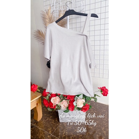 Áo mongtegi bigsize