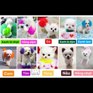 Màu nhuộm thú cưng Brooklyn-ChuChu Pet