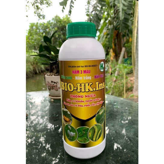 Nấm 3 màu trắng - xanh - tím chuyên dùng cho rầy nâu bọ trĩ, sâu bệnh