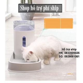 HA - Máy cho chó mèo ăn uống bán tự động dành cho chó mèo lớn Loại có bồn chứa 3,8 lít- Bộ Bát cho chó mèo ăn và uống/