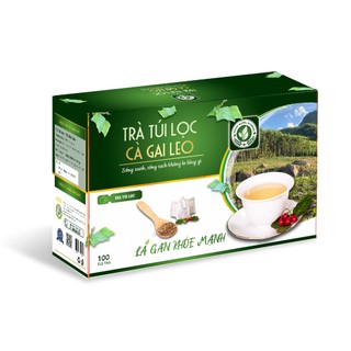Trà Túi Lọc Cà Gai Leo - Tĩnh Sáng Đường hỗ trợ bảo vệ sức khỏe