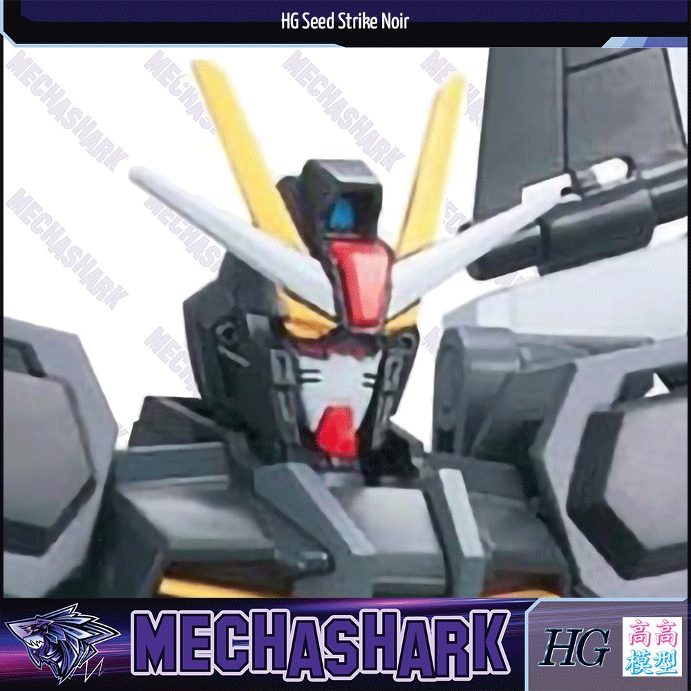 Mô Hình Lắp Ráp HG Seed 1/144 Strike Noir Gundam TT Hongli High Grade Fighter 41 Robot vũ trụ SEED Destiny Cosmic Era