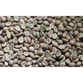 0.5kg cà phê nhân robusta (hạt chưa rang) coconut_toroto_dl