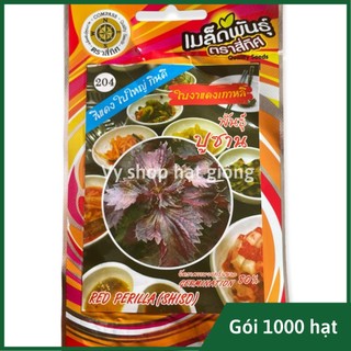 Hạt giống tía tô lá tím thái lan gói 1000 hạt
